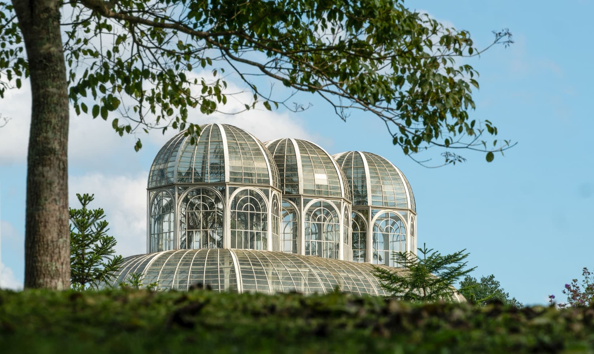 Estufa do Jardim Botânico, cartão-postal das produtoras de vídeo em Curitiba